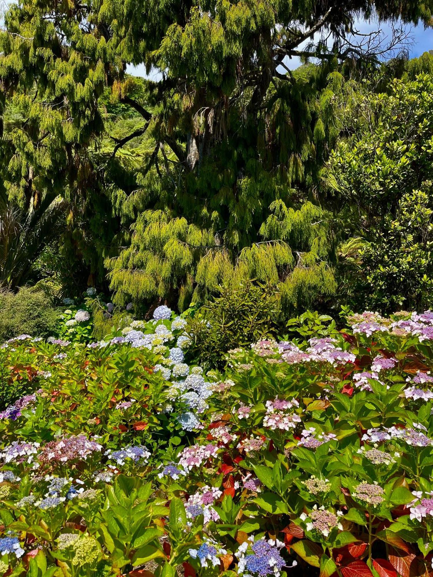 Hydrangea Chalet *
